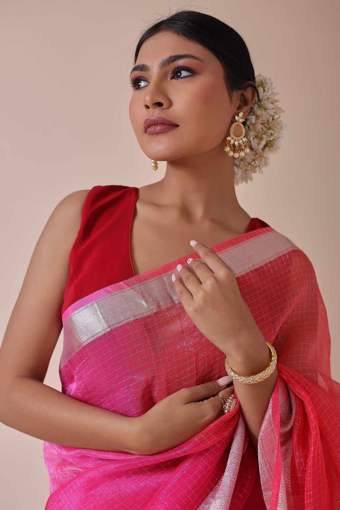 Handloom Organza Saree