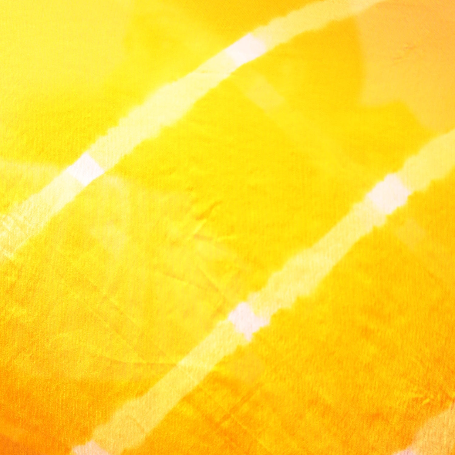 Leheriya Chiffon Saree with Zari Border