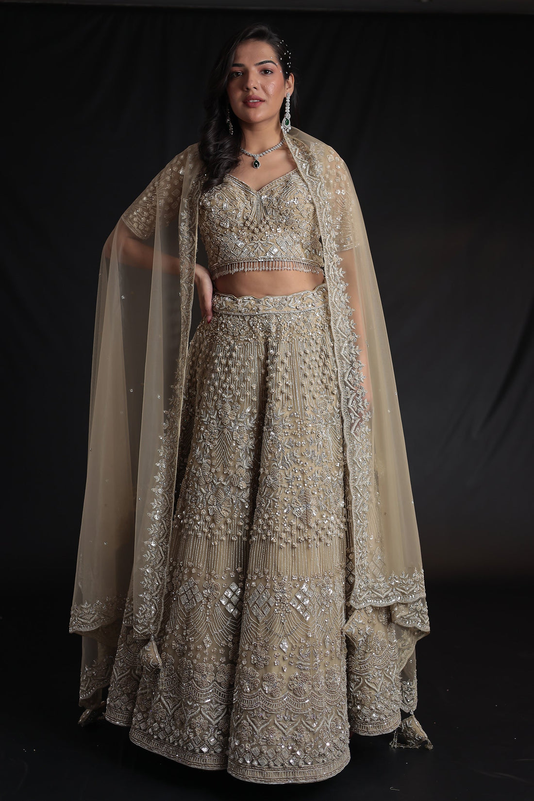 Embellished Net Lehenga with Intricate Detailing