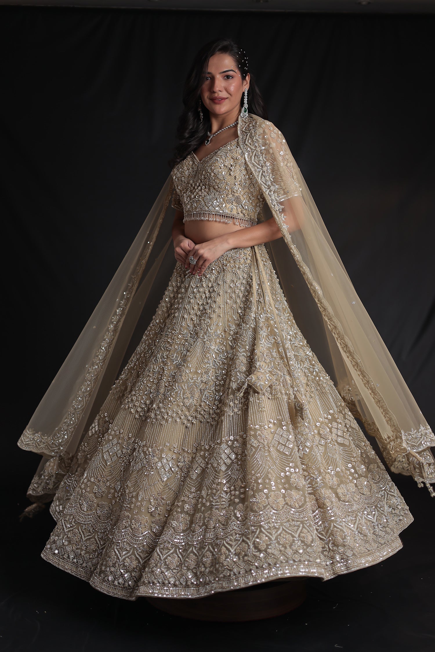 Embellished Net Lehenga with Intricate Detailing