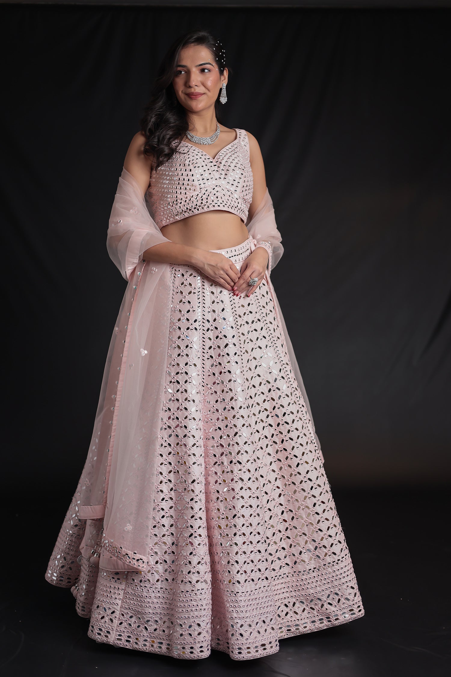 Silk Lehenga Embellished with Mirror work