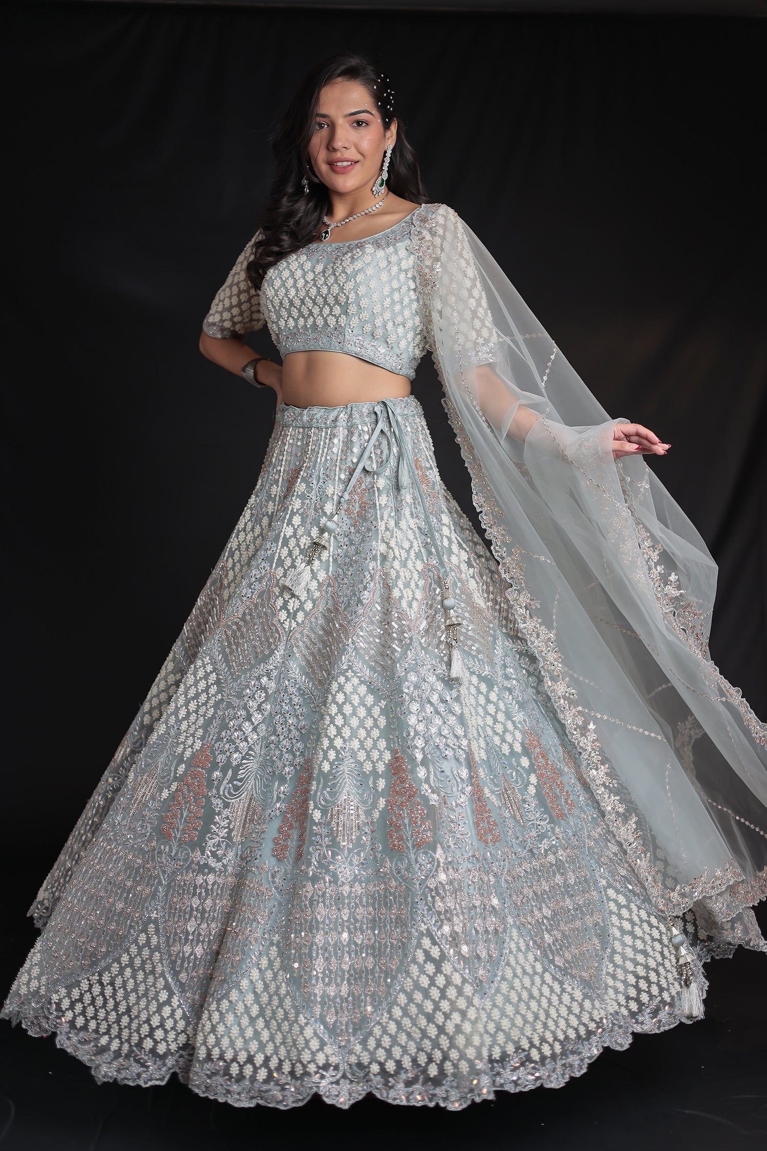 Net Lehenga with Threadwork and Embellished Detailing