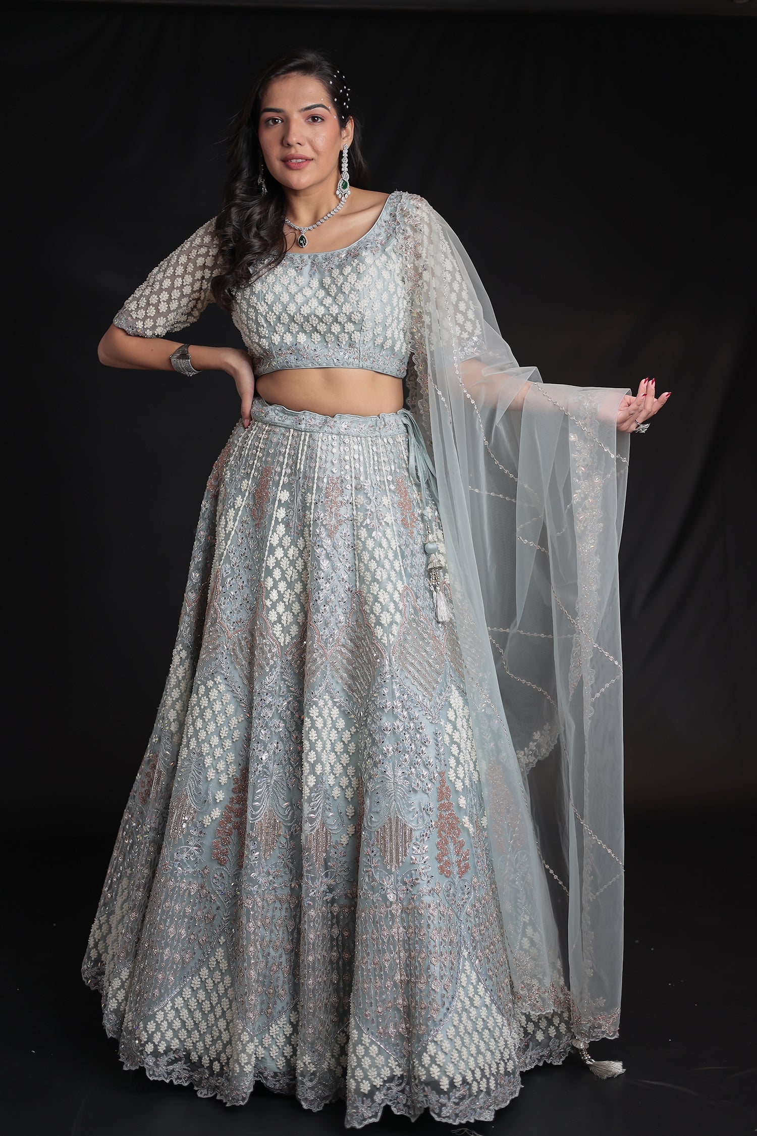 Net Lehenga with Threadwork and Embellished Detailing