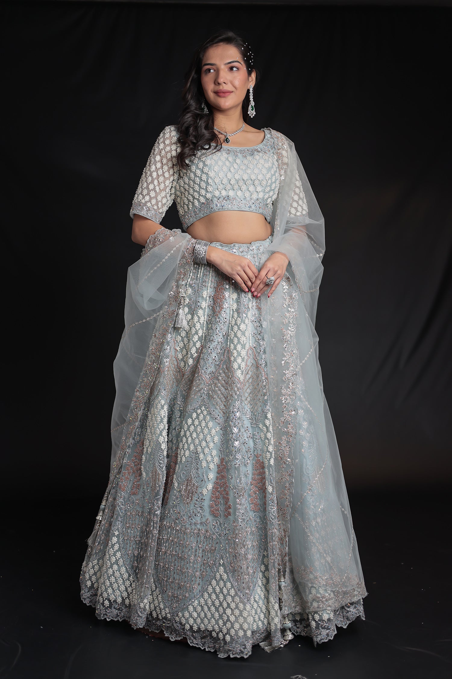 Net Lehenga with Threadwork and Embellished Detailing
