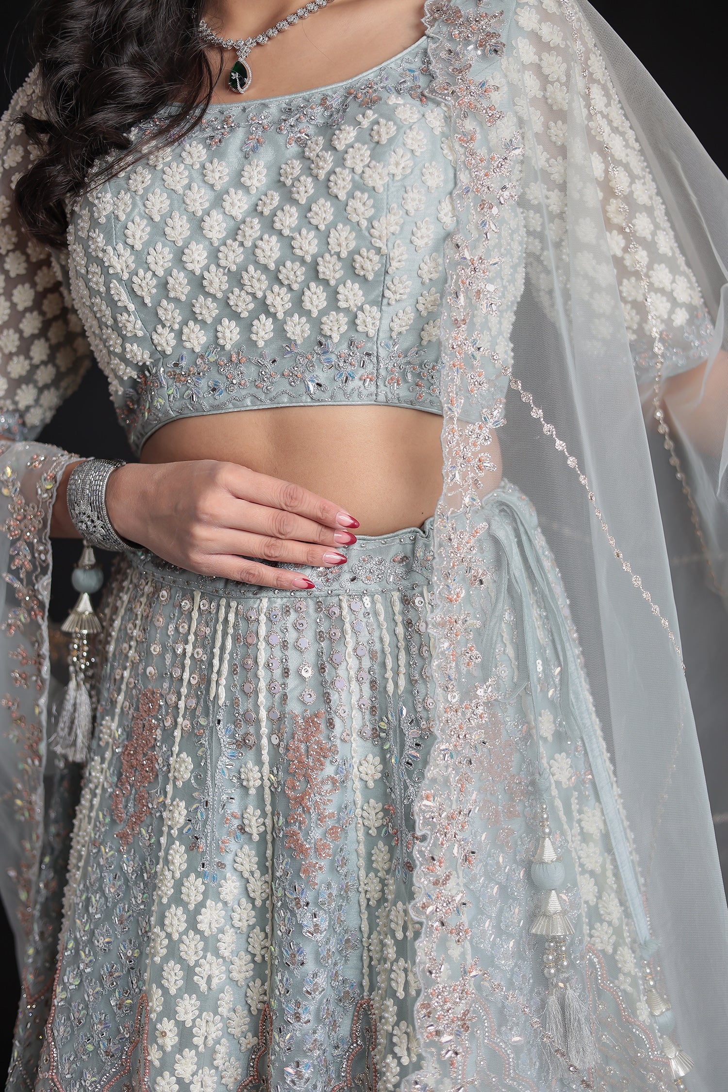Net Lehenga with Threadwork and Embellished Detailing