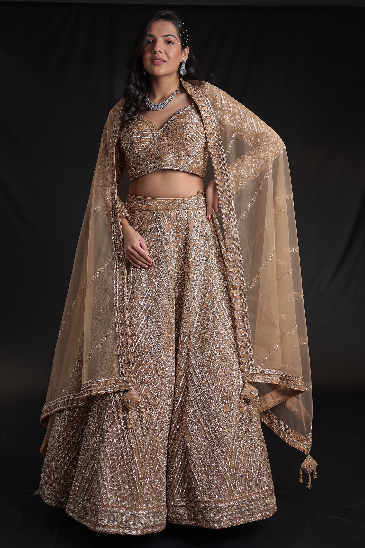 Net Lehenga with Cutdana embroidery.