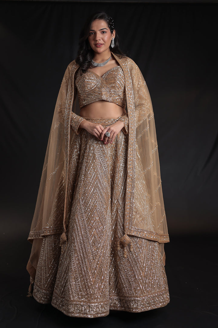 Net Lehenga with Cutdana embroidery.