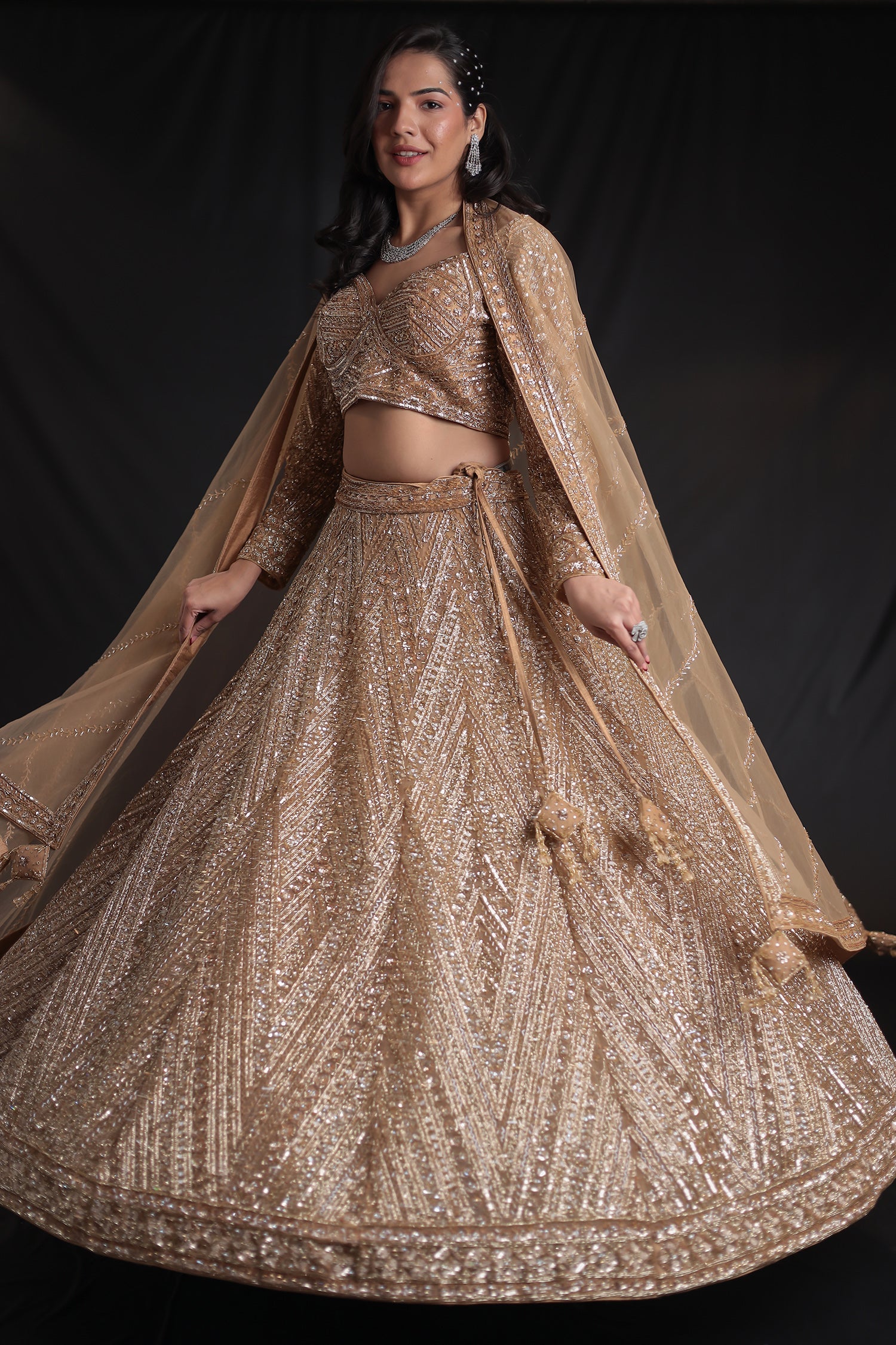 Net Lehenga with Cutdana embroidery.