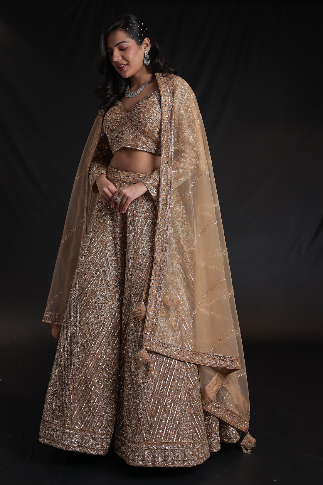 Net Lehenga with Cutdana embroidery.