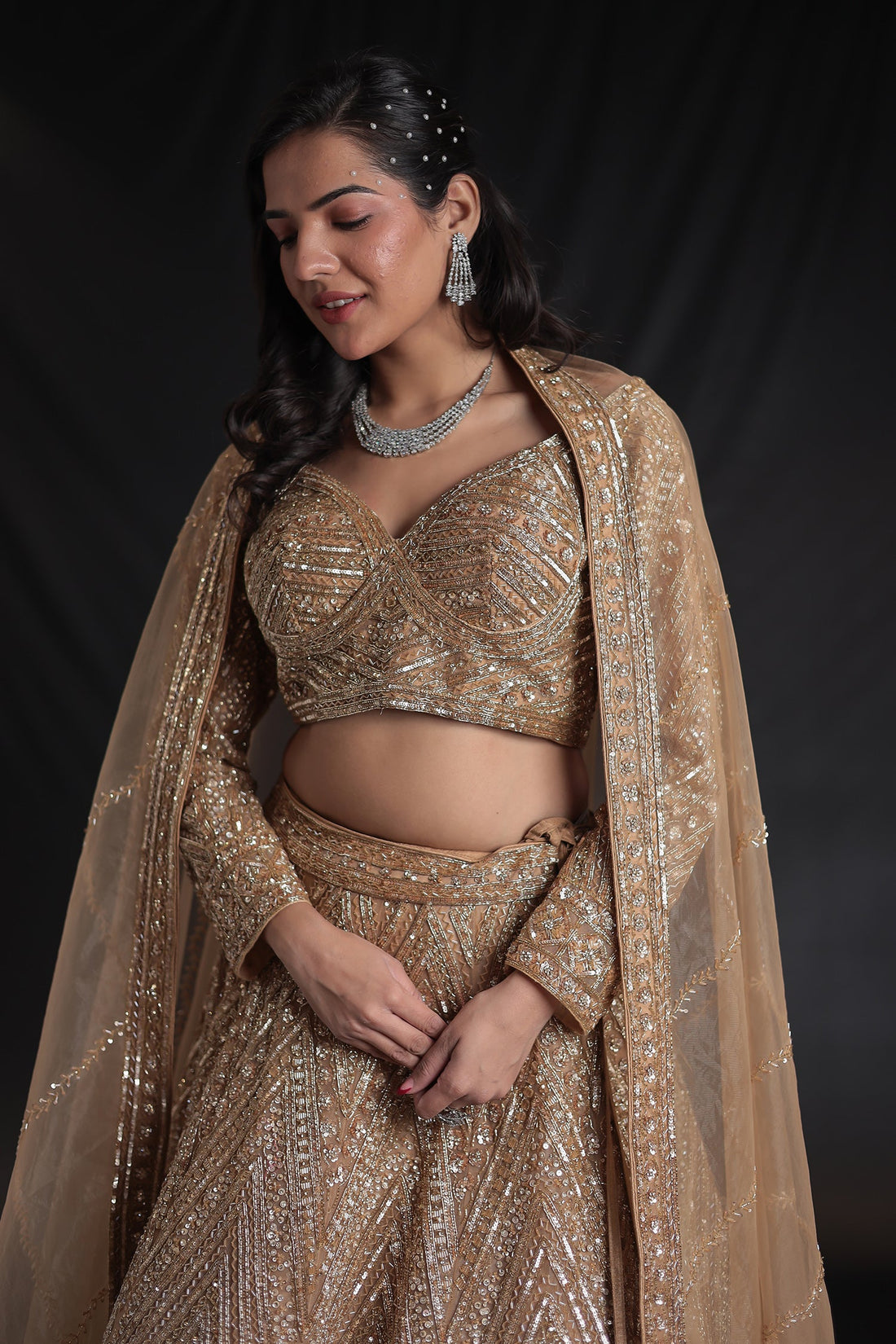 Net Lehenga with Cutdana embroidery.