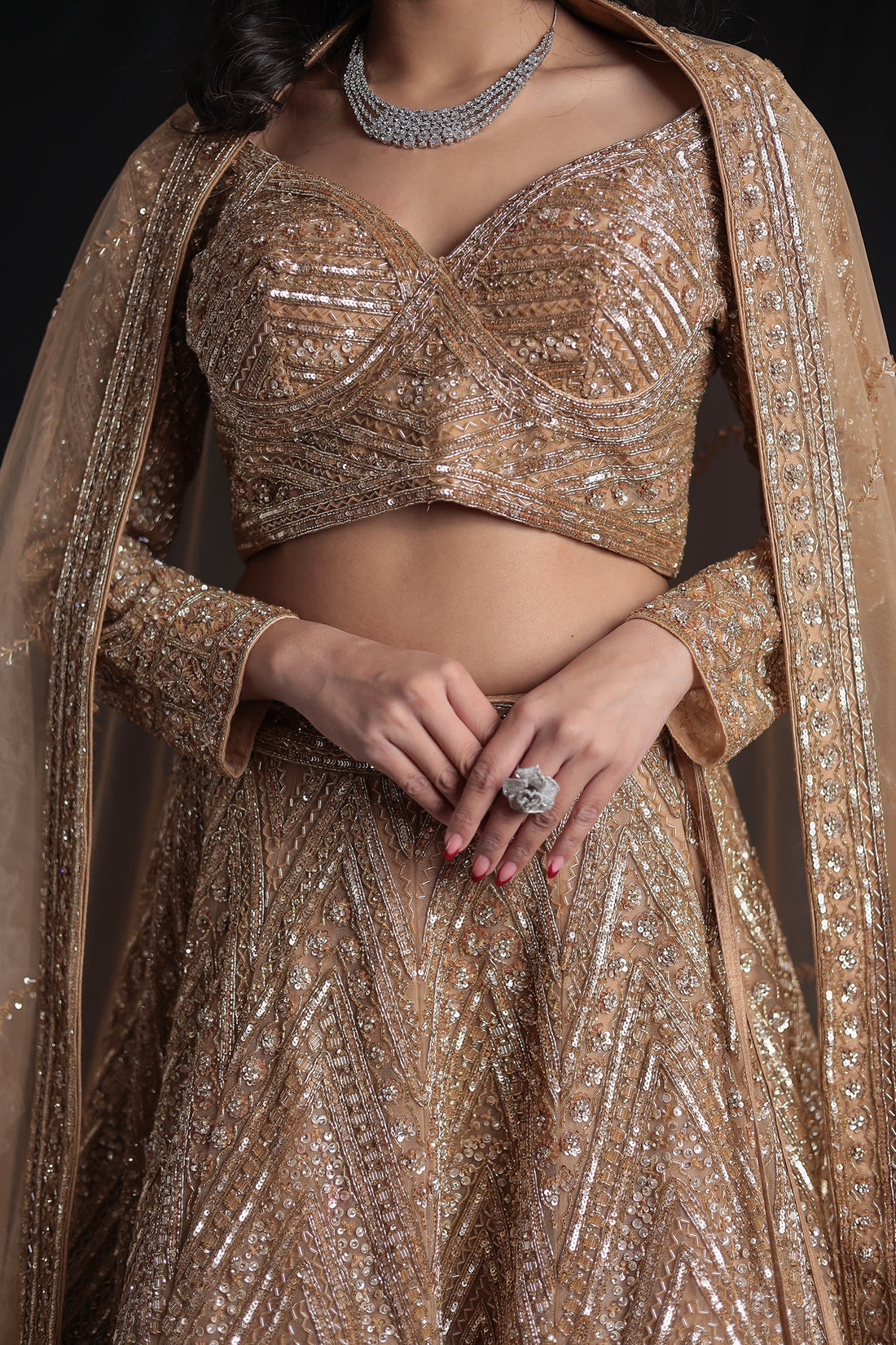 Net Lehenga with Cutdana embroidery.