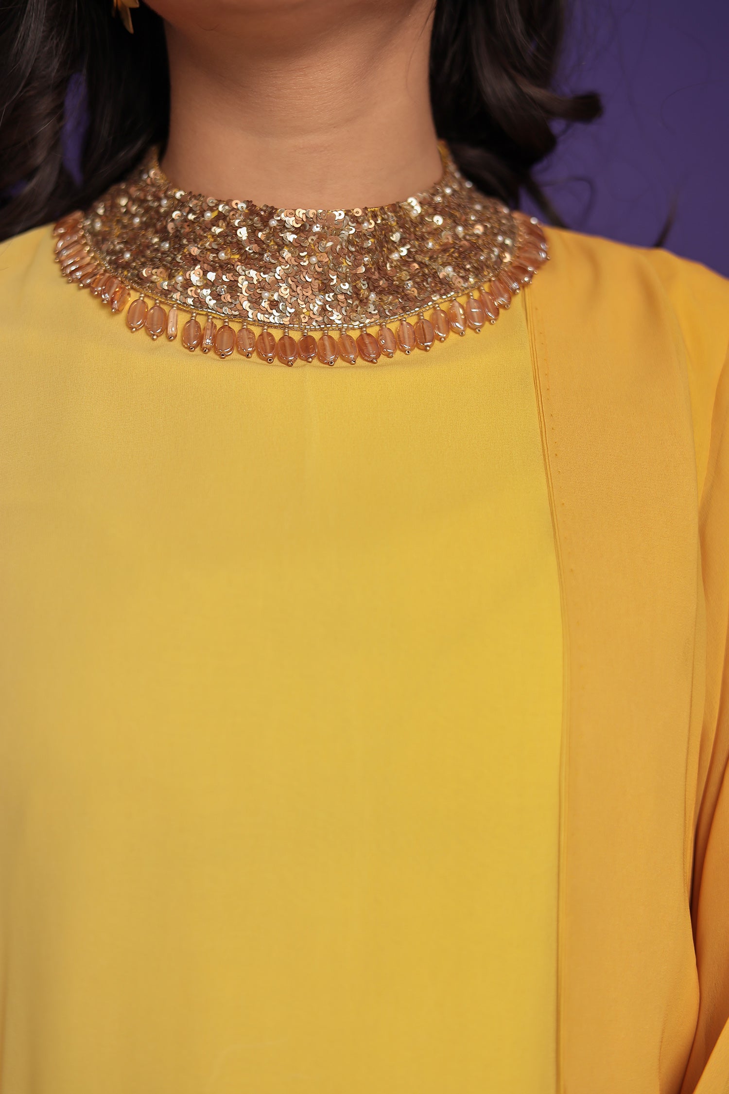 Shaded Georgette Indowestern Embellished Neck with Sequins work