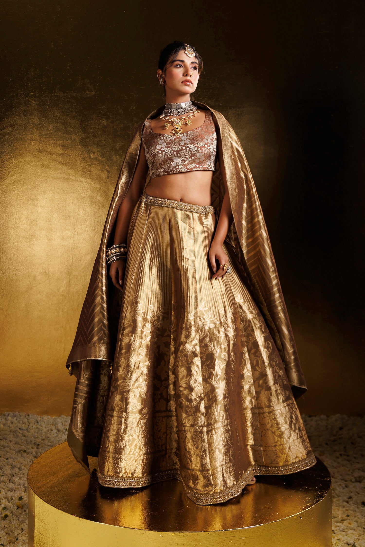 Handloom Tissue Lehenga with Aari and Cutdana work