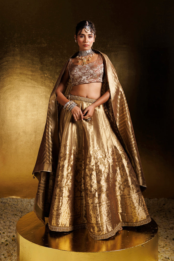 Handloom Tissue Lehenga with Aari and Cutdana work