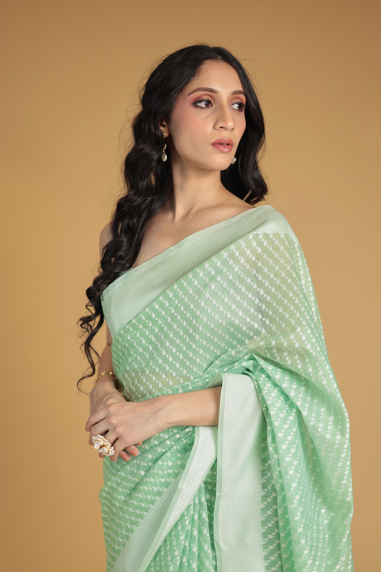 Banarasi Hand Woven Cotton Chanderi Saree