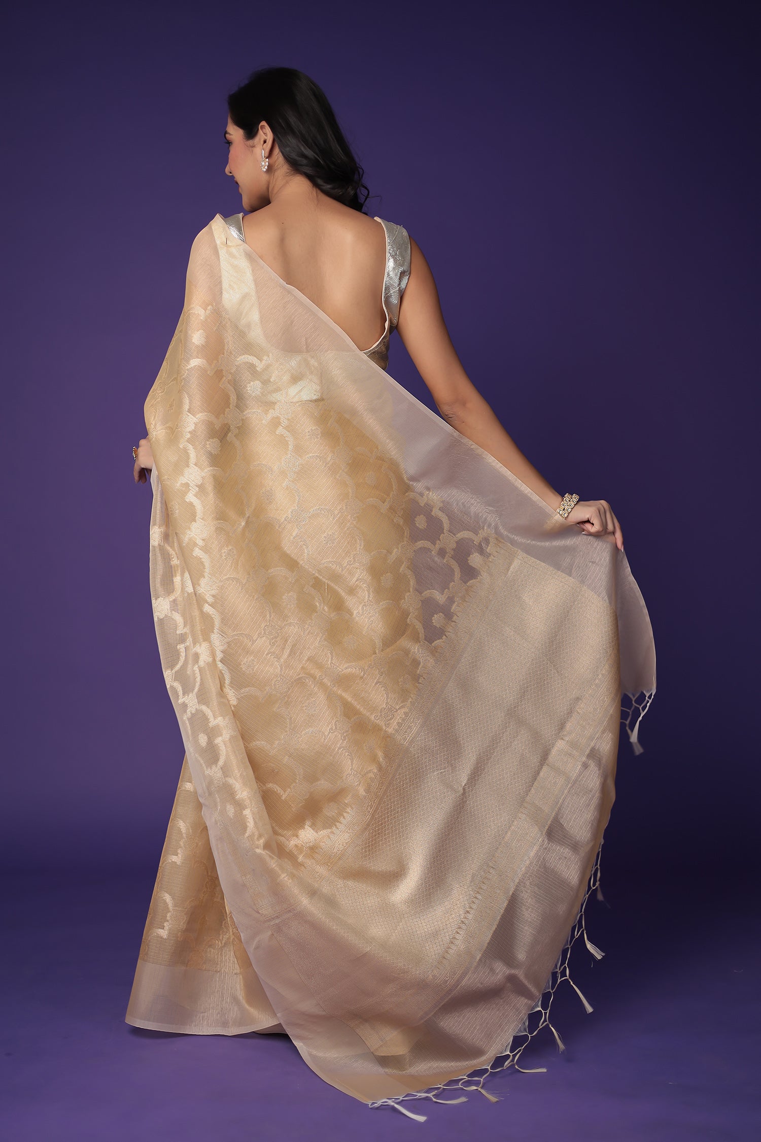 Banarasi Hand Woven Tissue Saree