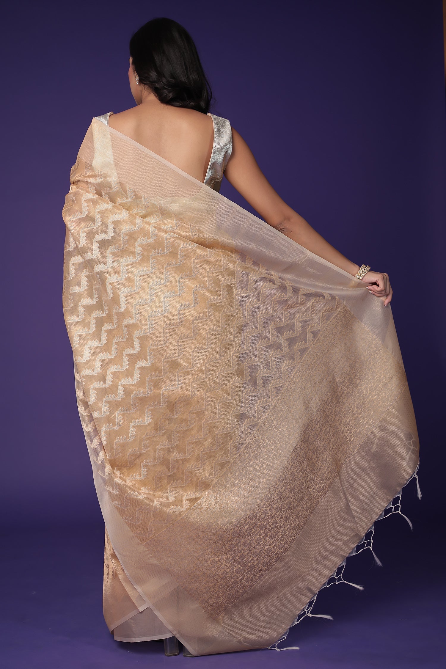 Banarasi Hand Woven Tissue Saree