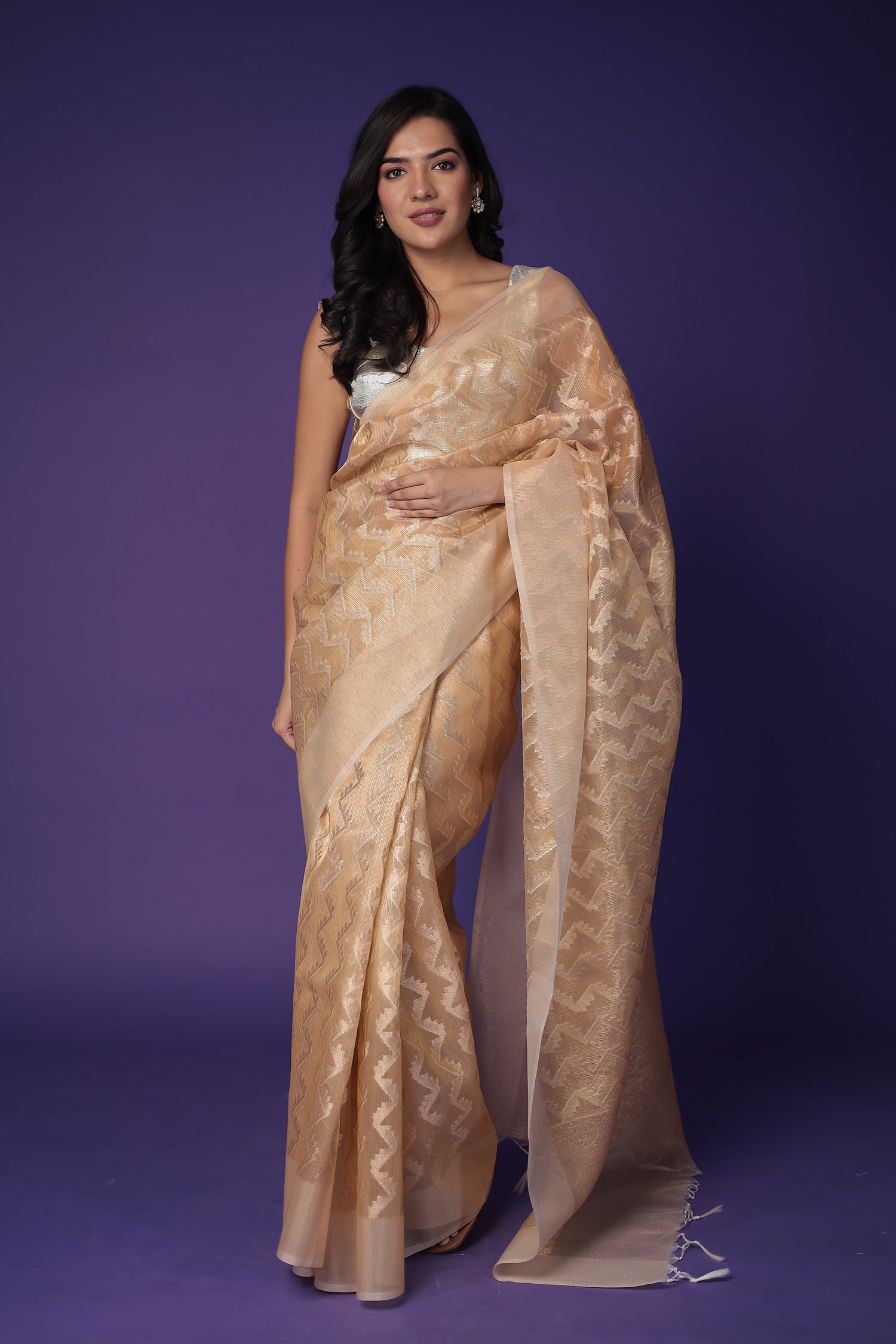 Banarasi Hand Woven Tissue Saree