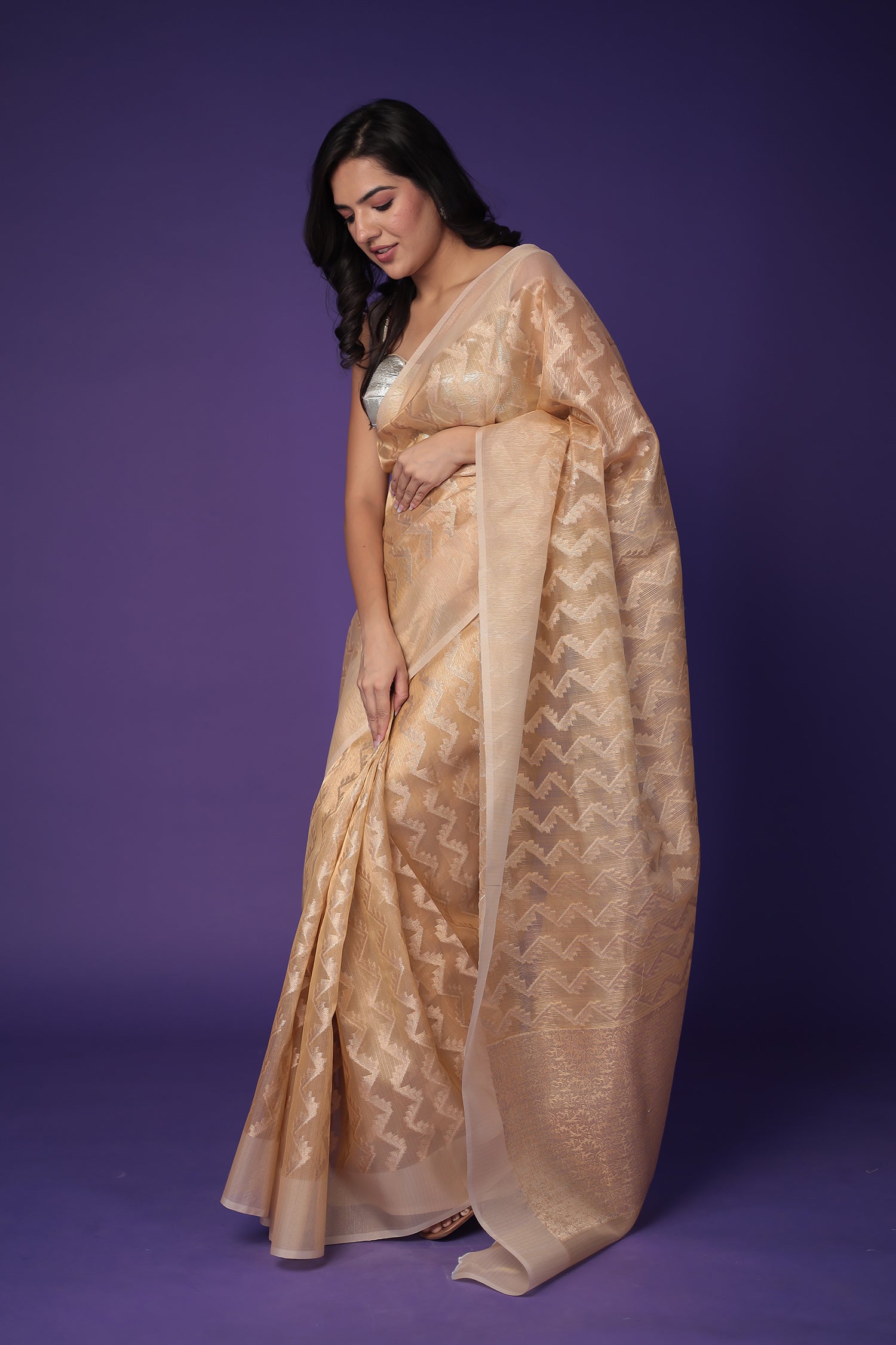 Banarasi Hand Woven Tissue Saree