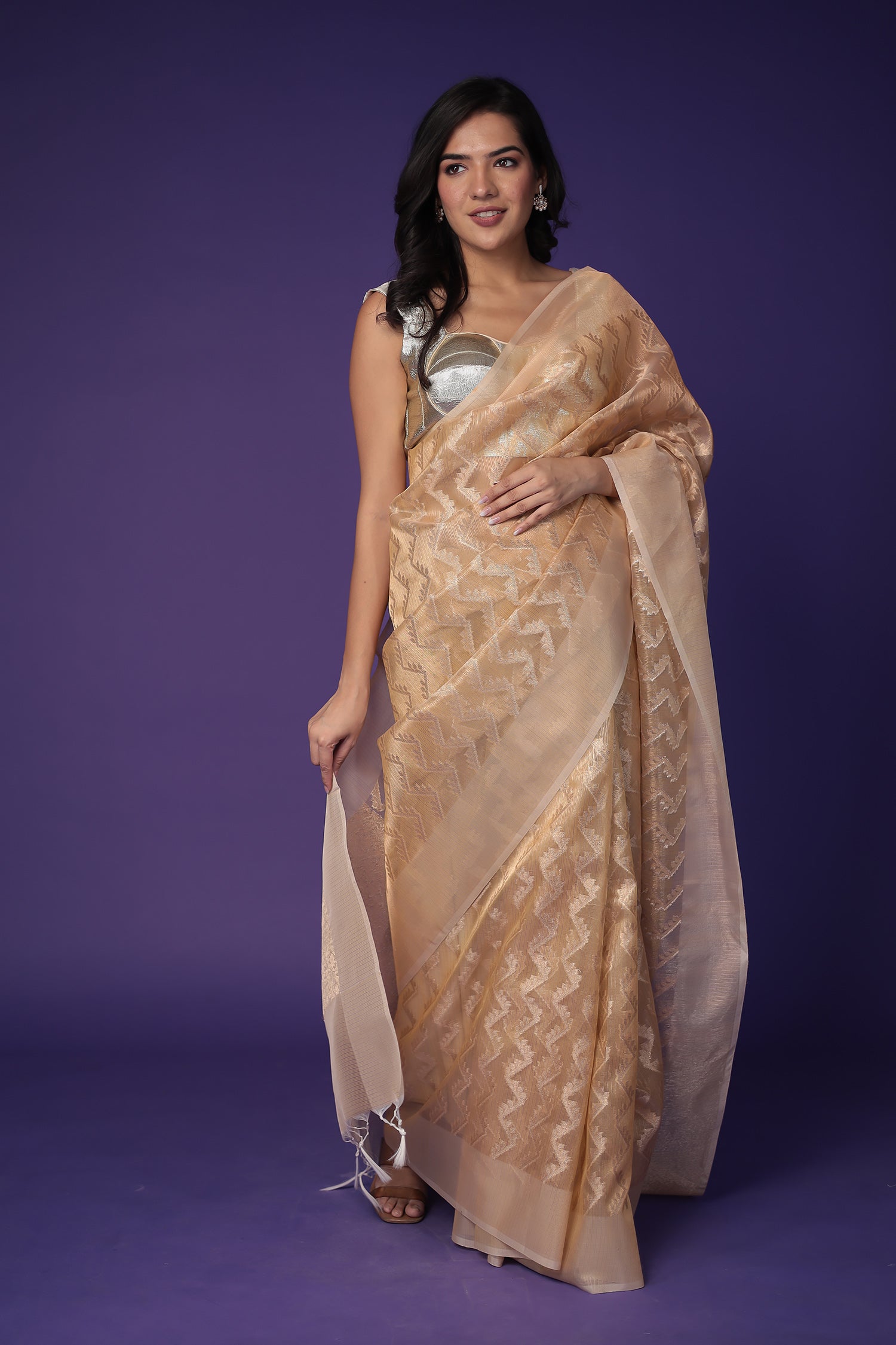 Banarasi Hand Woven Tissue Saree