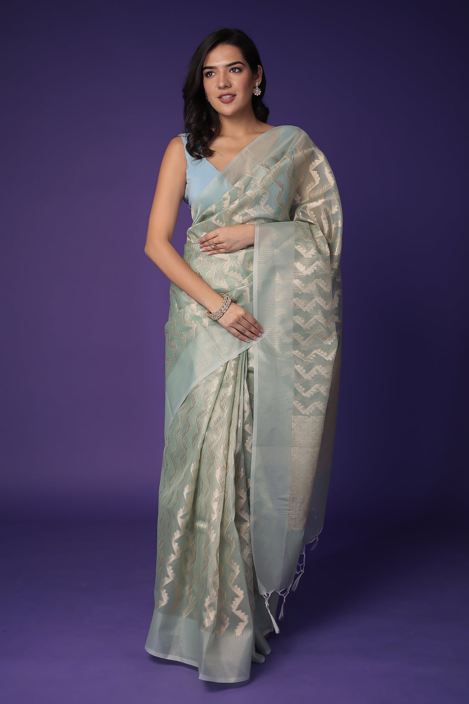 Banarasi Hand Woven Tissue Saree
