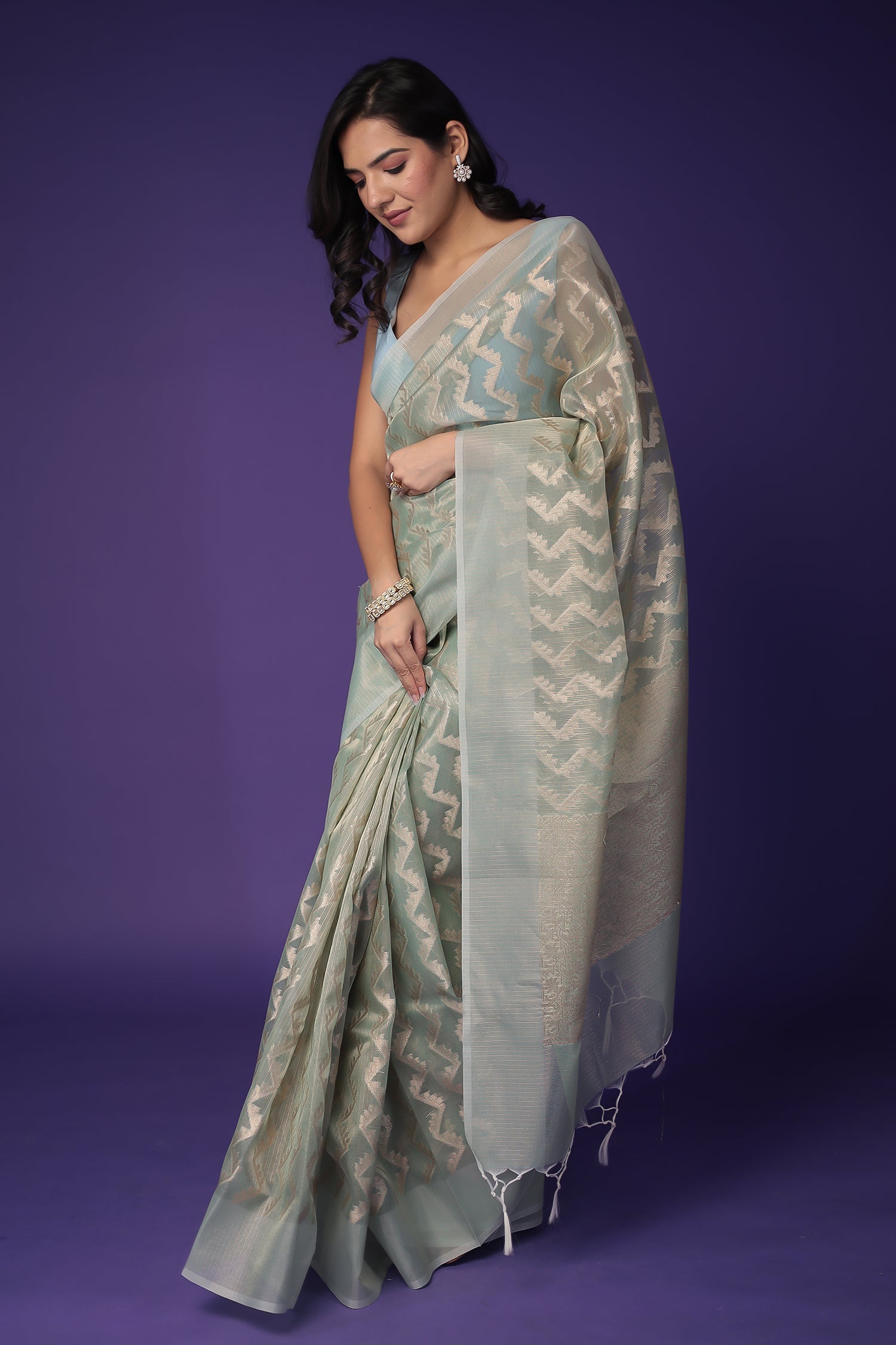 Banarasi Hand Woven Tissue Saree