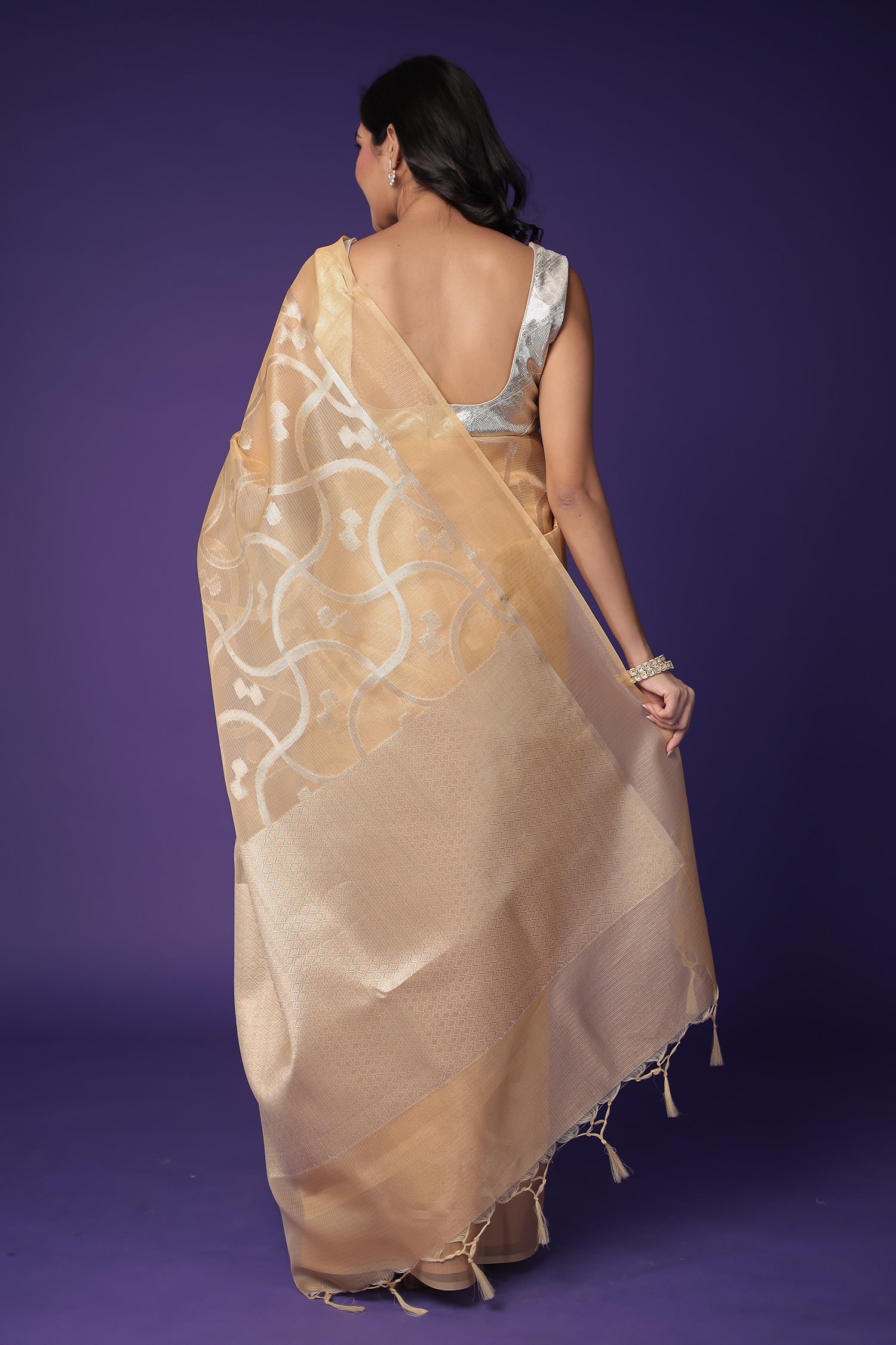 Banarasi Hand Woven Tissue Saree