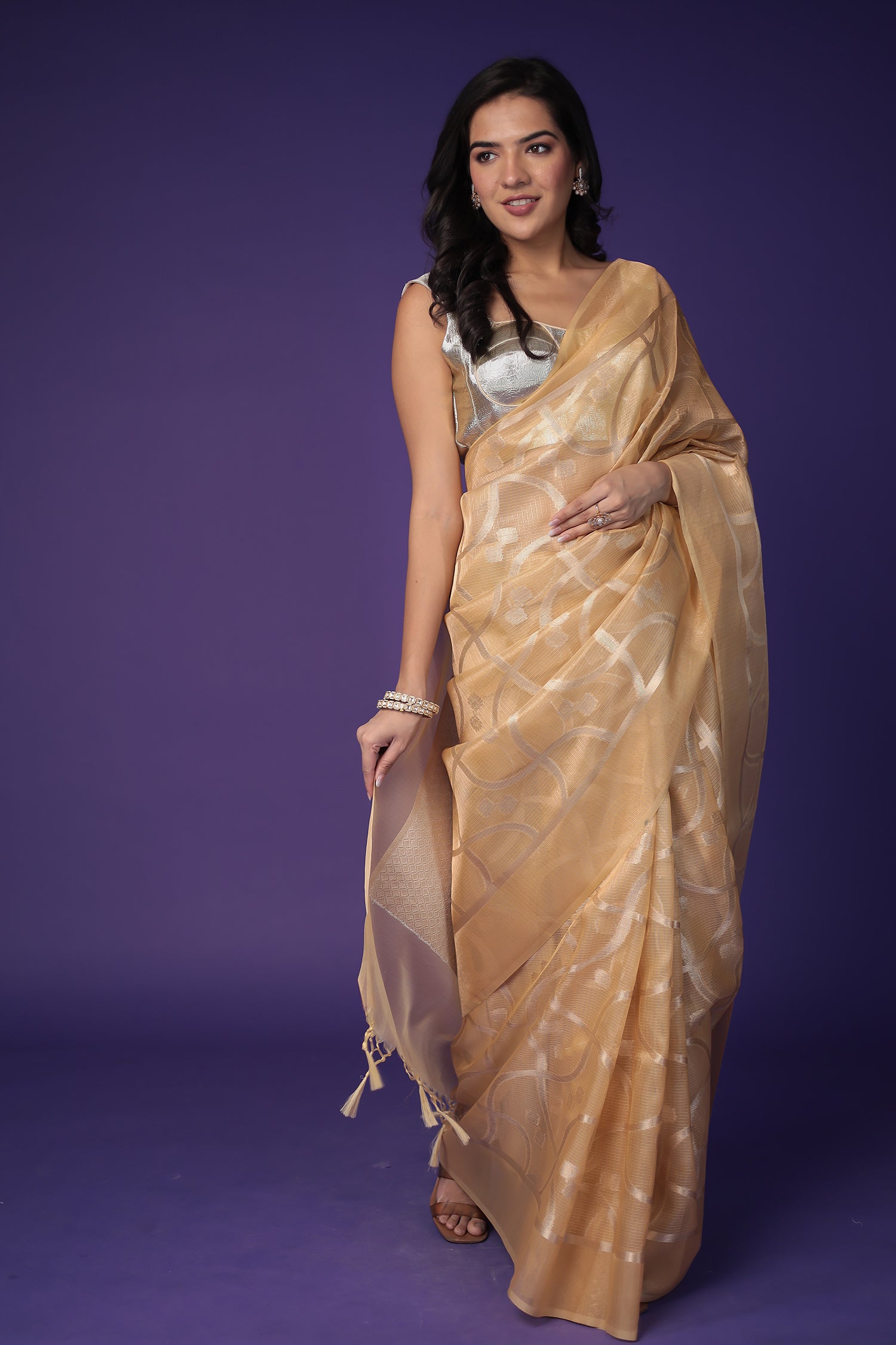 Banarasi Hand Woven Tissue Saree