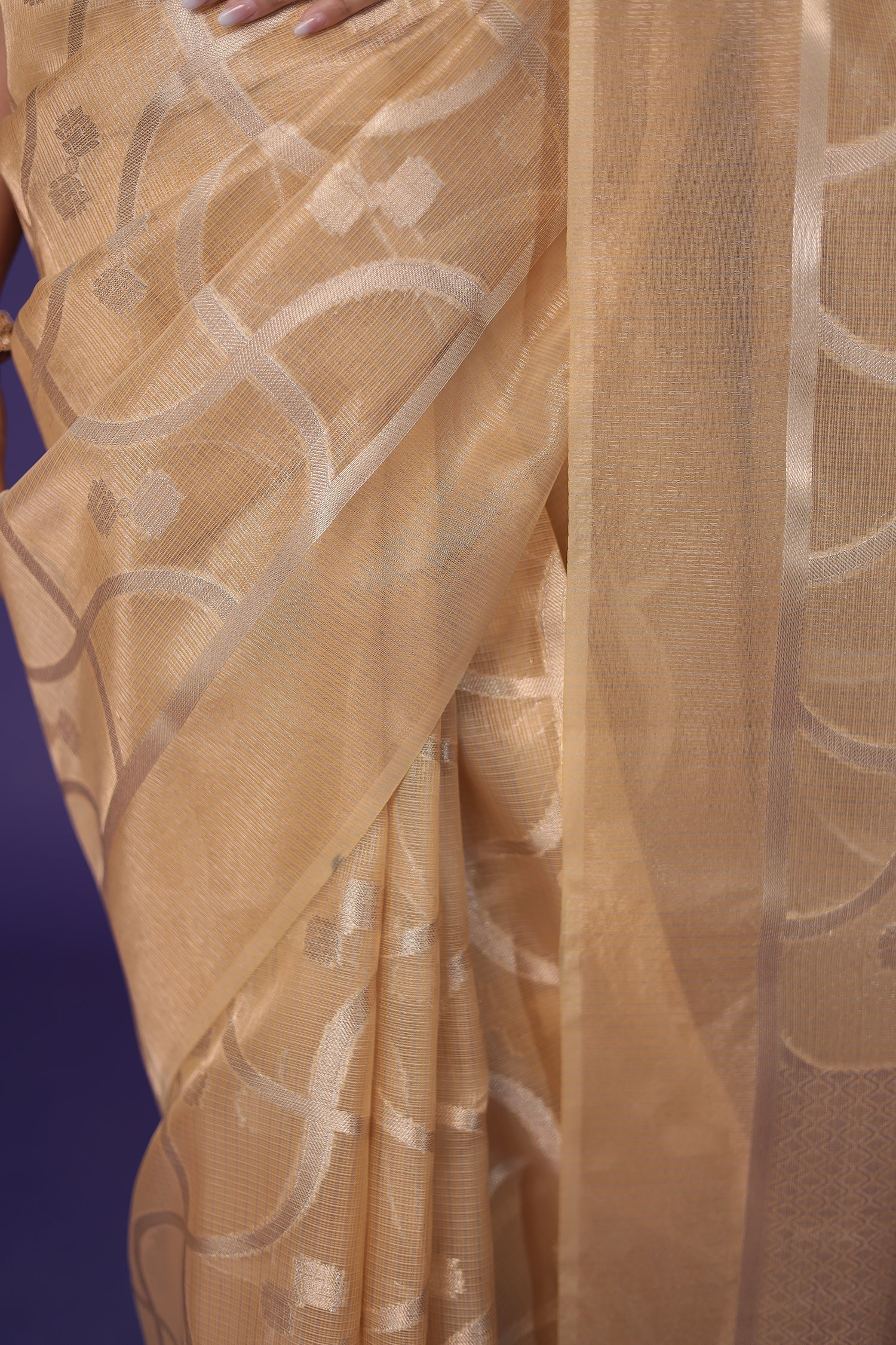 Banarasi Hand Woven Tissue Saree