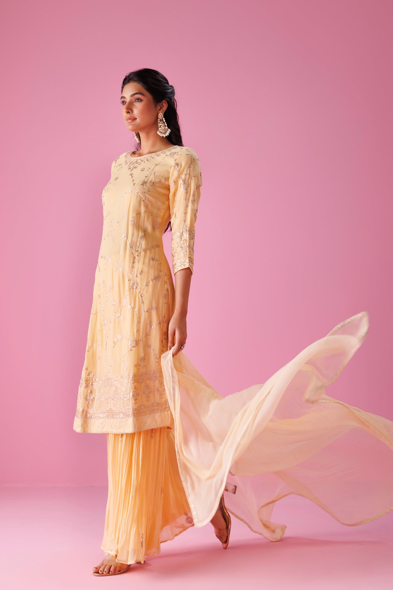 Georgette Sharara Suit with Pittan work
