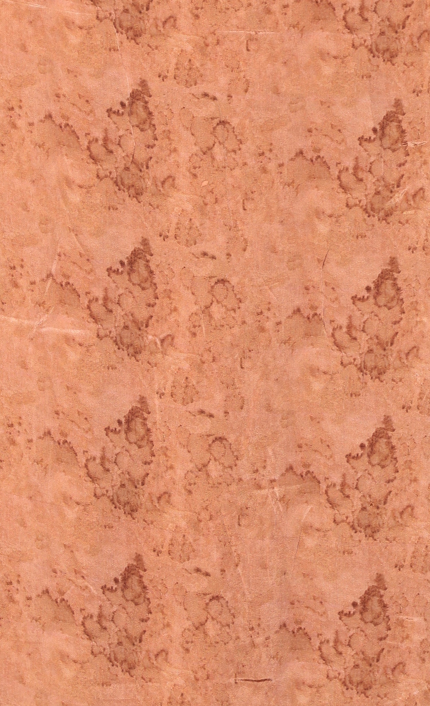 Chiffon saree with chiffon fabric and zari border