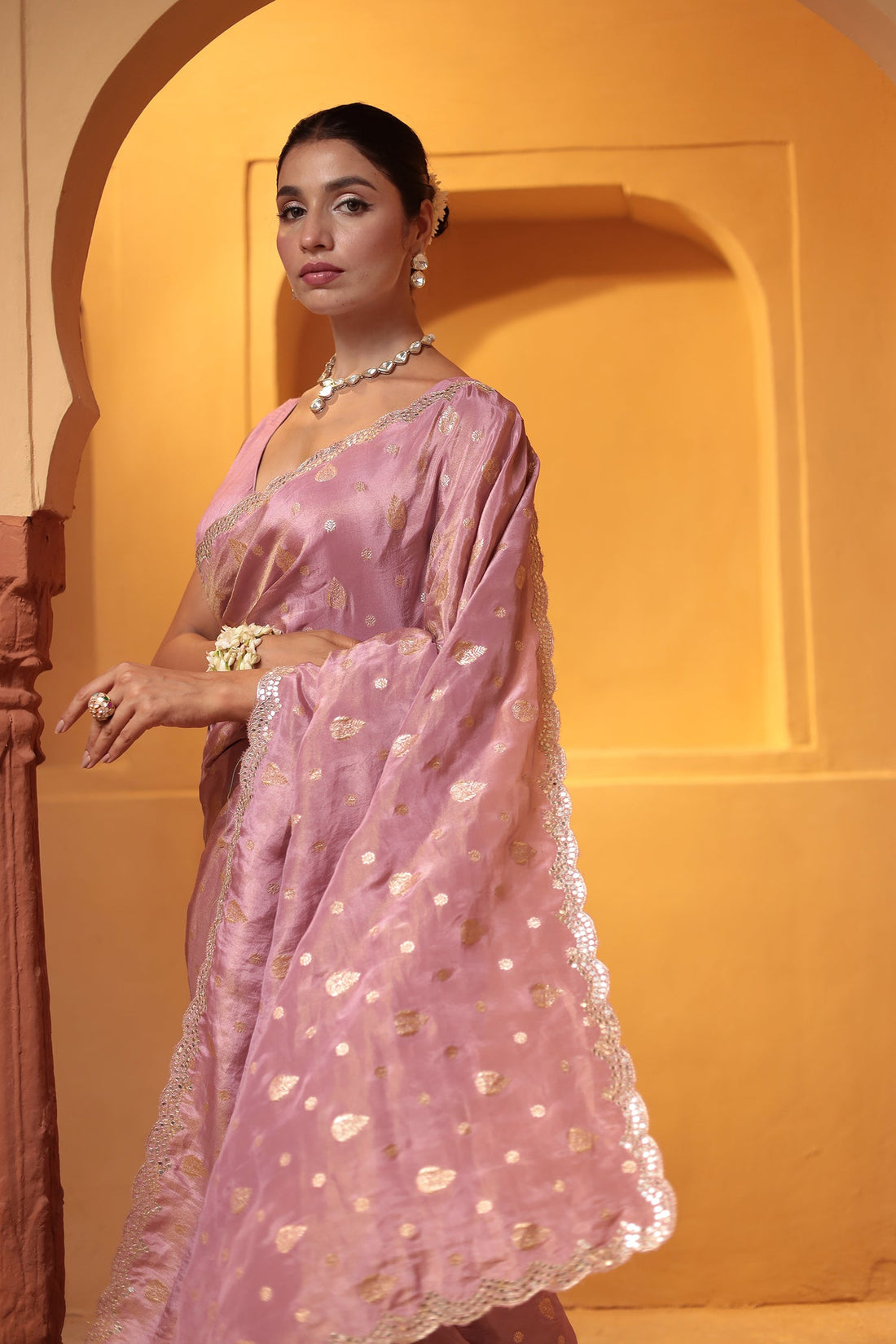 Banarasi Tissue Saree Embellished with Aari work