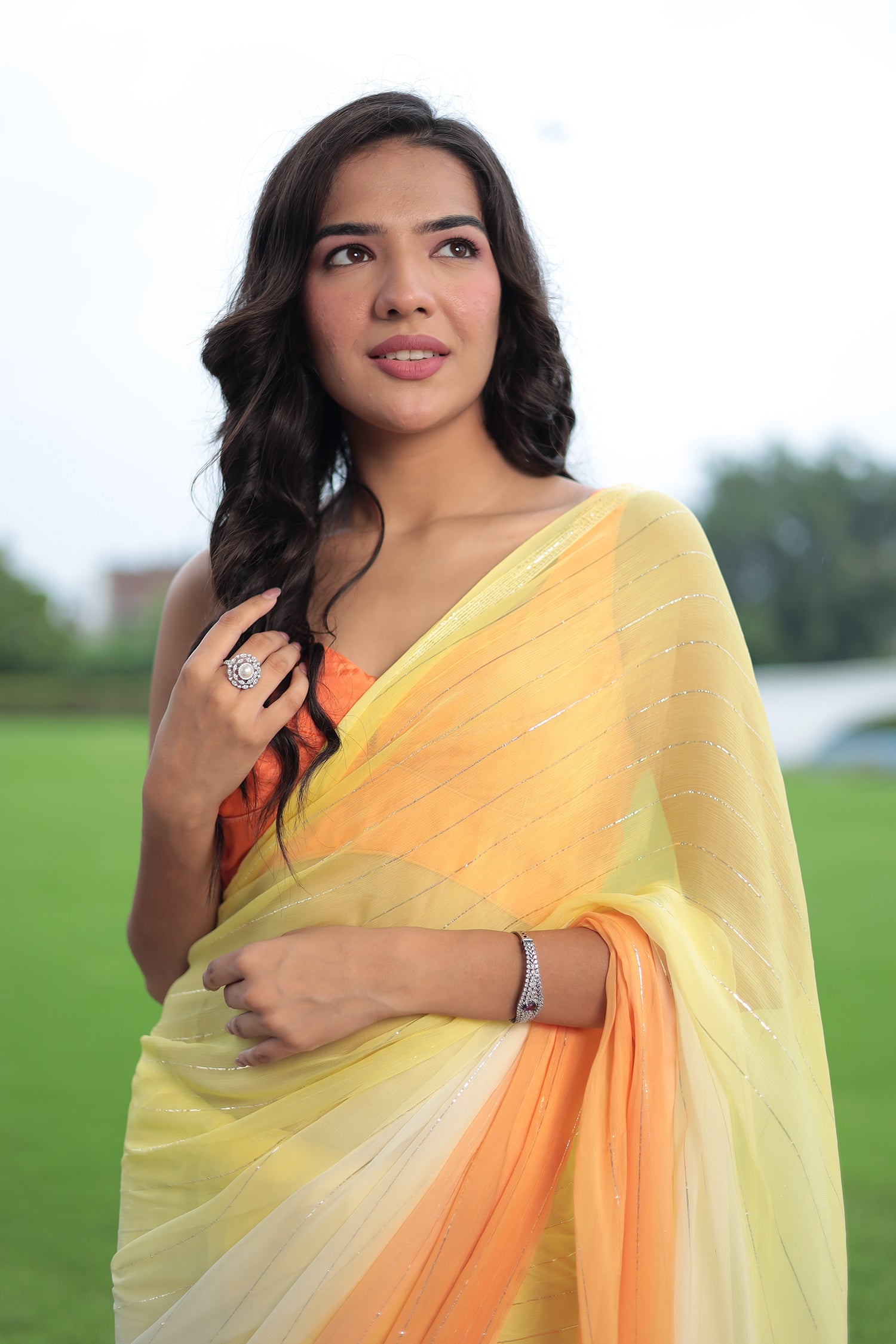 Ombre Chiffon Saree with Lurex work