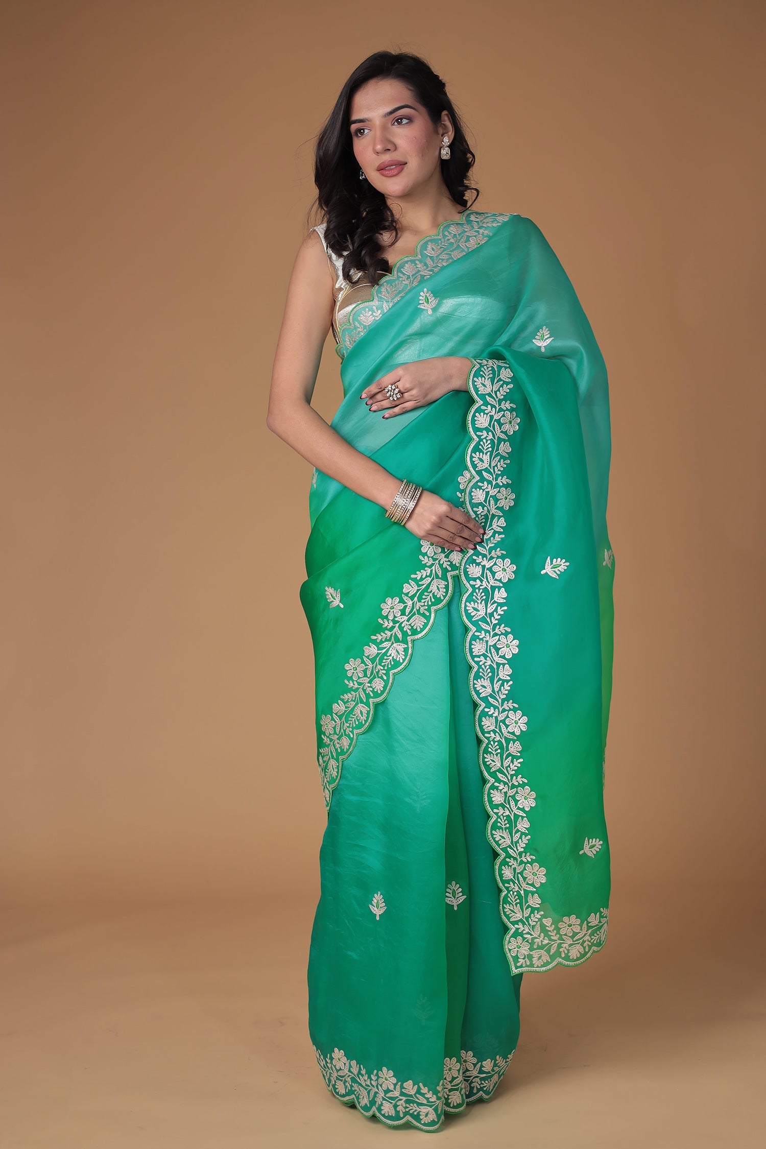 Organza Saree with Pittan work