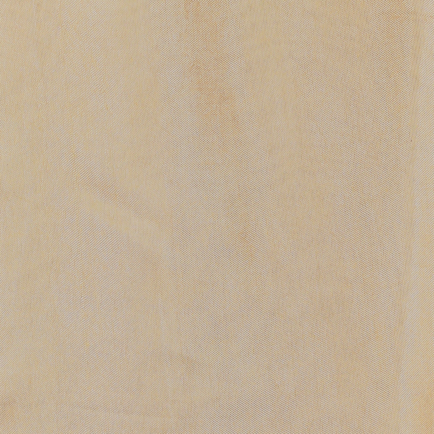 Bandhej Tissue Unstitched Suit with Gota Patti work