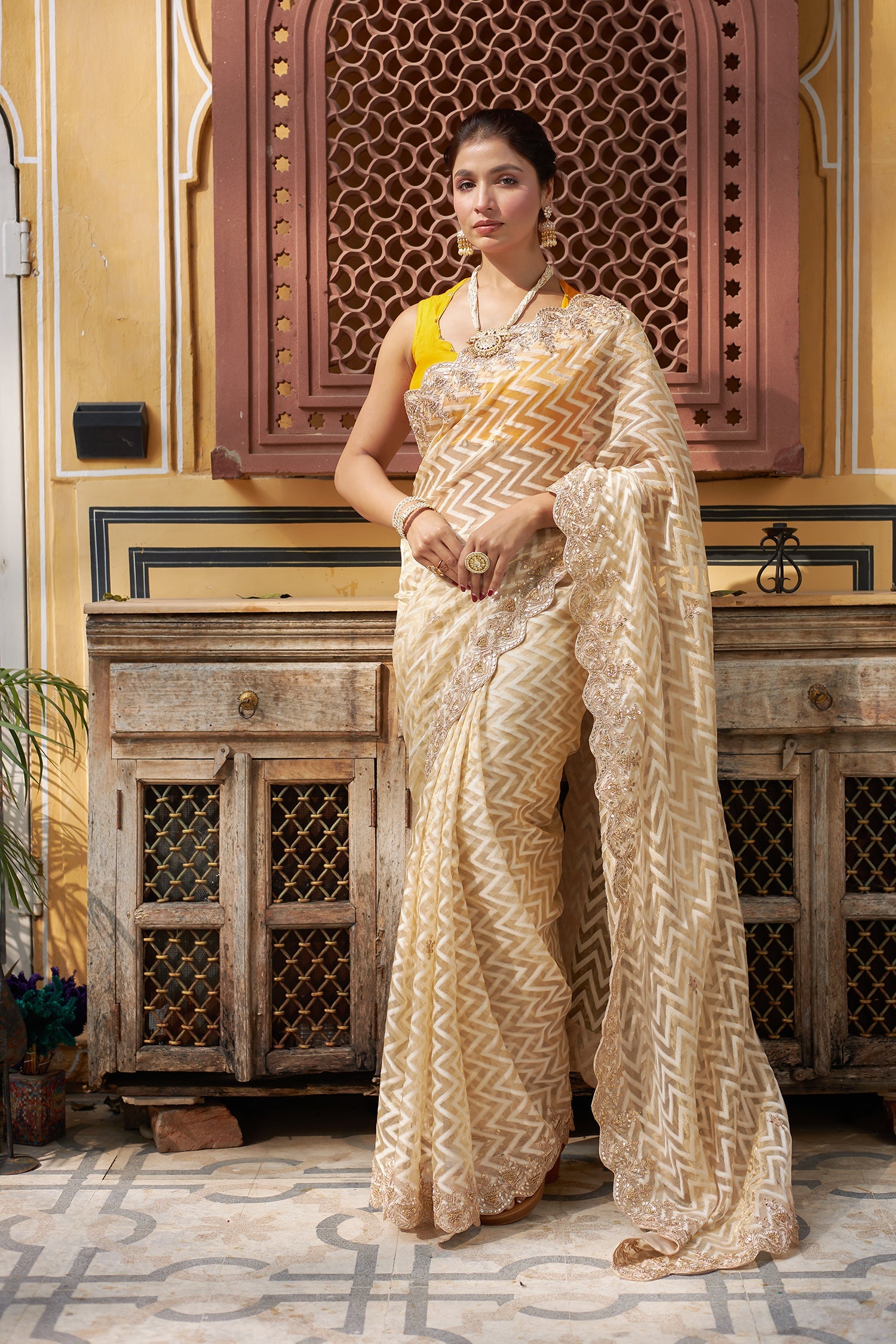 Organza Saree with Dori and Zardozi work