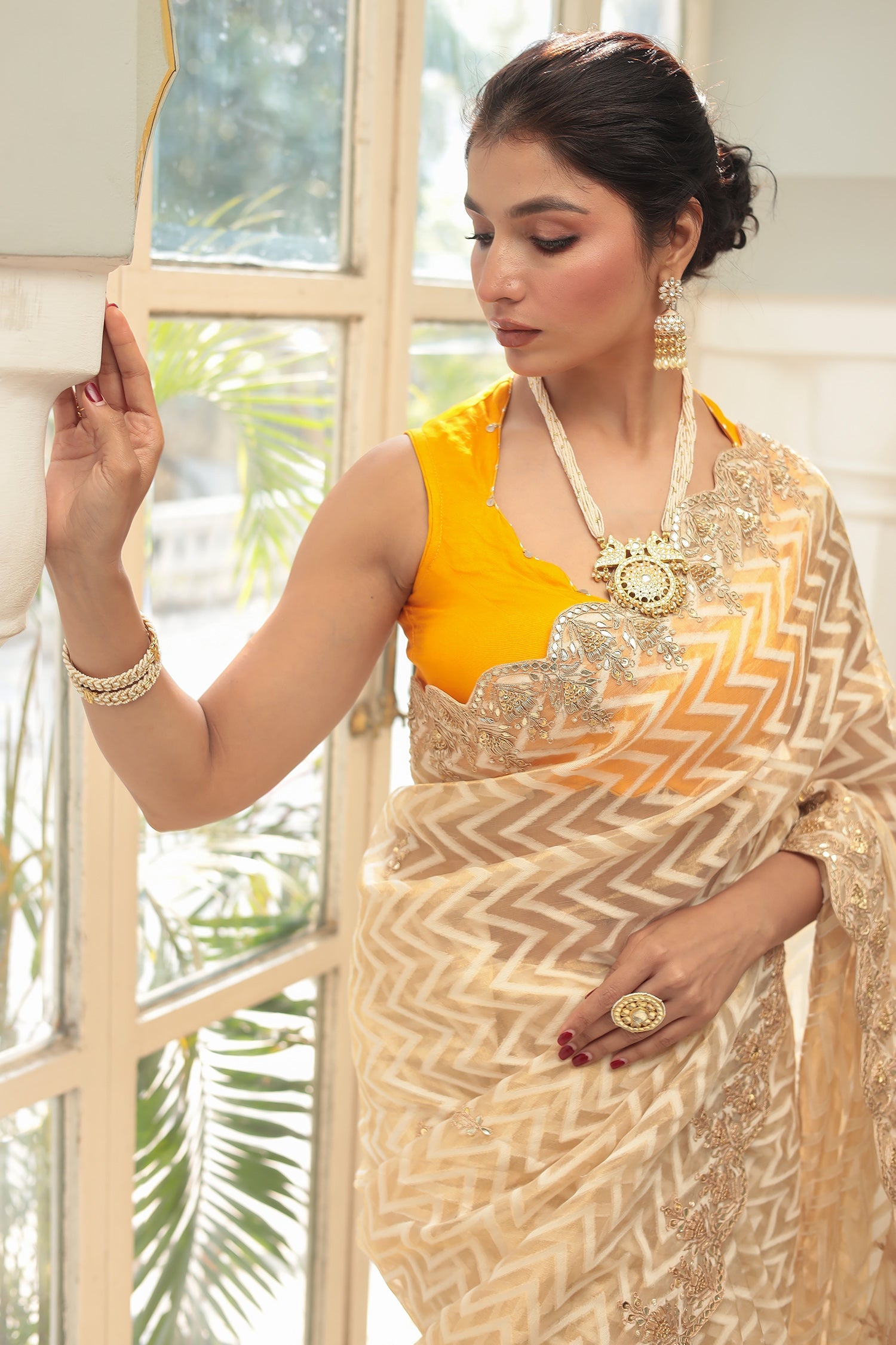 Organza Saree with Dori and Zardozi work