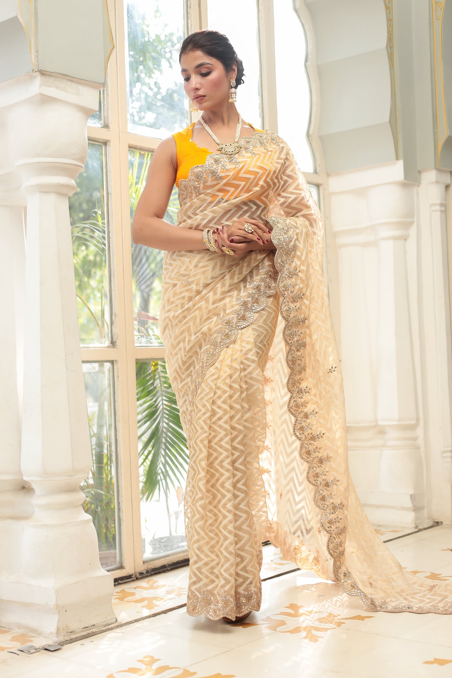 Organza Saree with Dori and Zardozi work