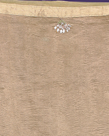 Tissue Saree with Gota Patti, Thread and Zardozi work