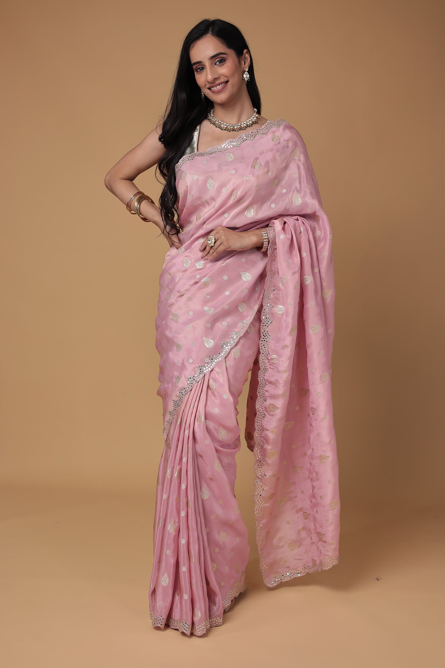 Banarasi Tissue Saree with Aari and Foil work
