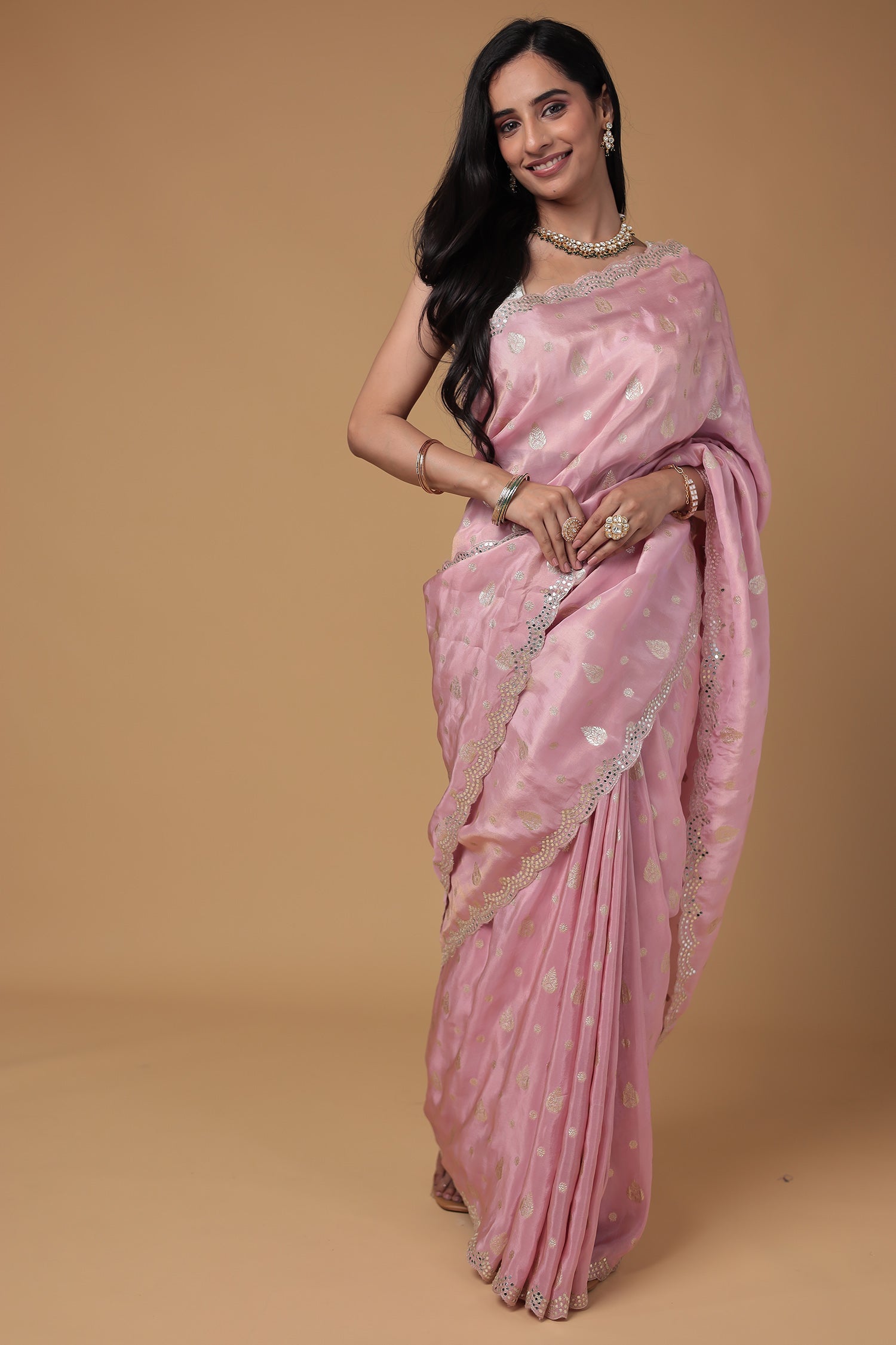 Banarasi Tissue Saree with Aari and Foil work
