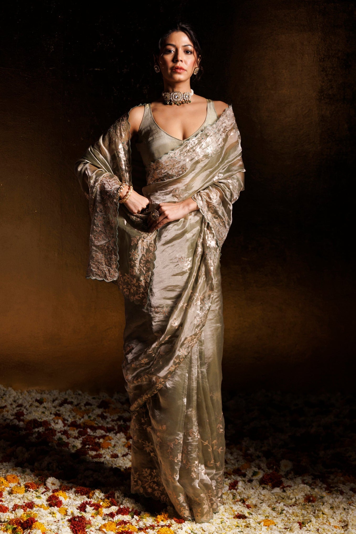 Tissue Saree Embellished with Pittan work