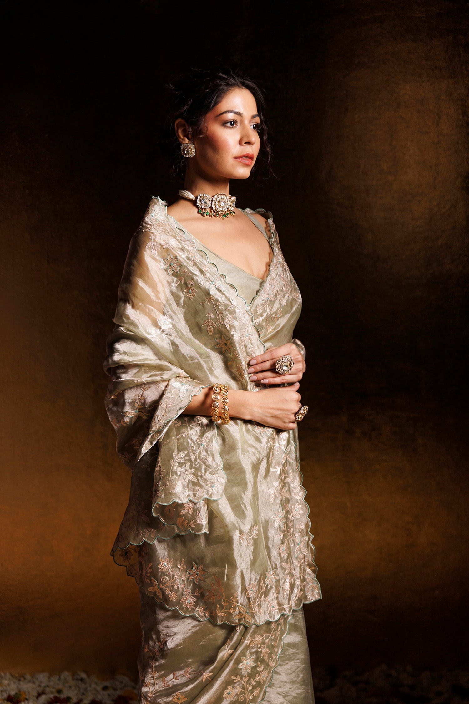 Tissue Saree Embellished with Pittan work