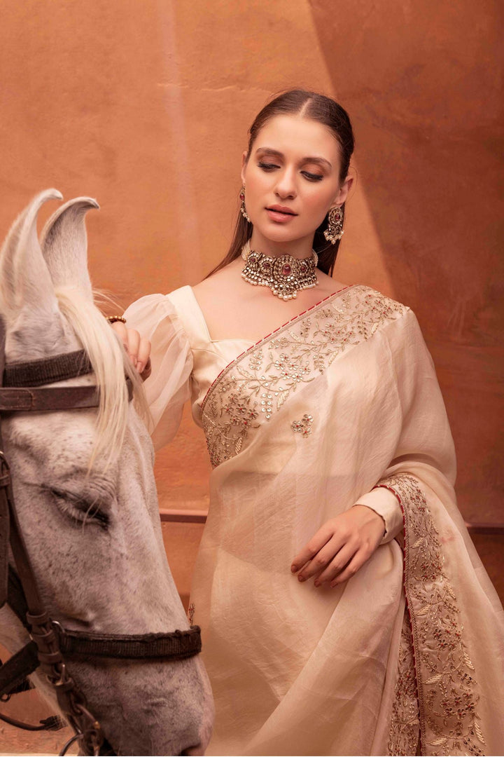 Zardozi Organza Saree with Contrast Border