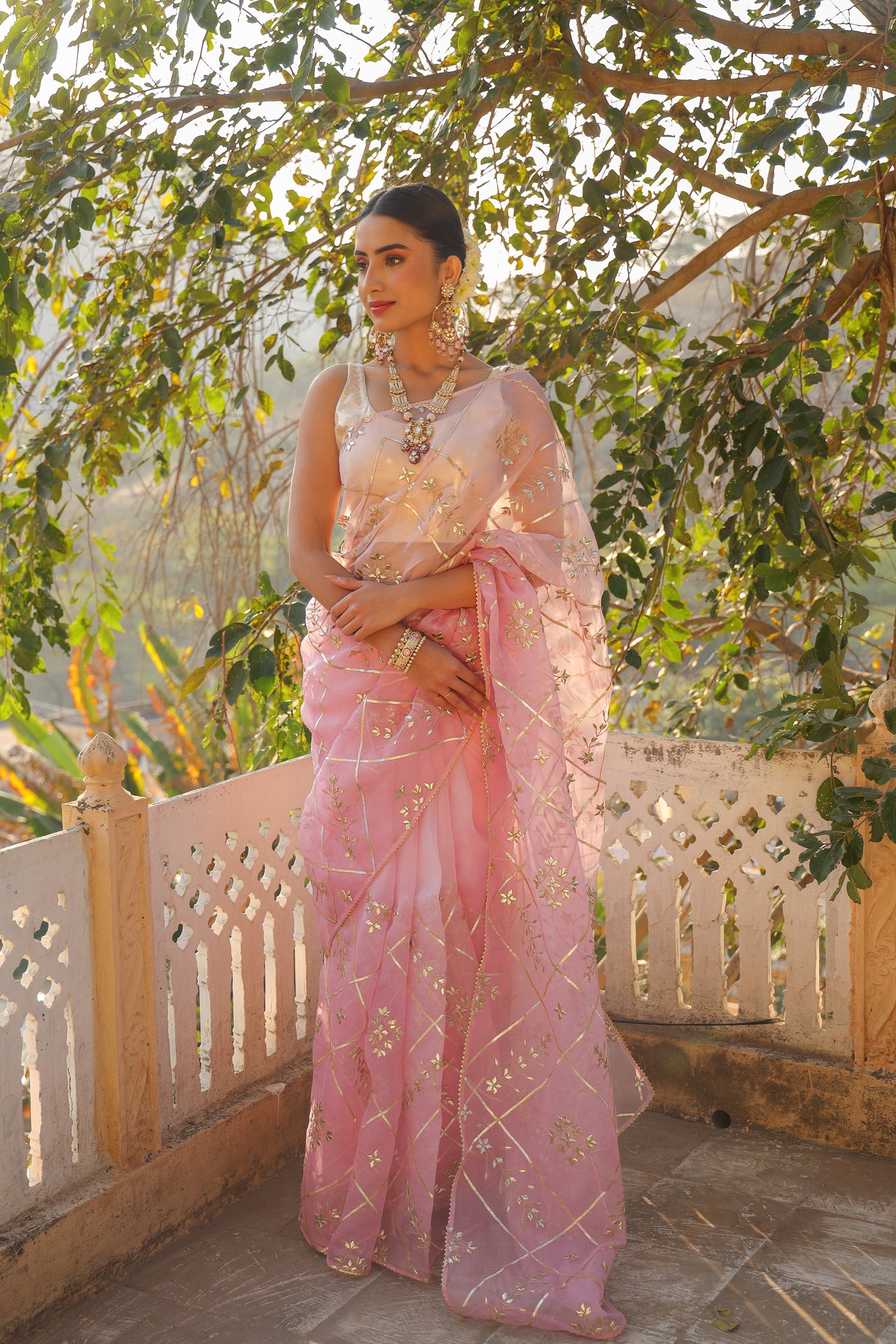 Organza Saree with Gota Patti work.