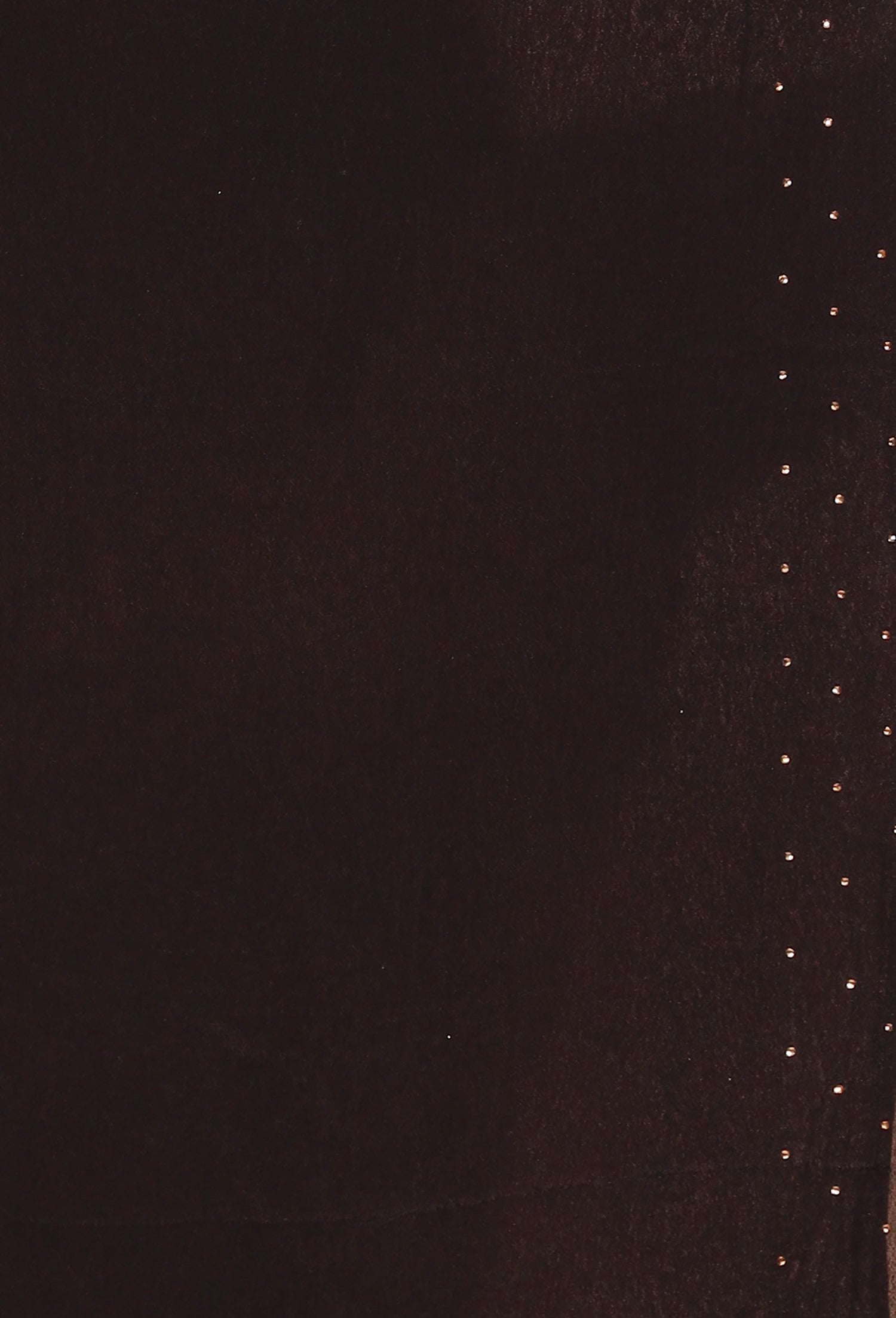 Foil print Chiffon Saree with Swarovski work.