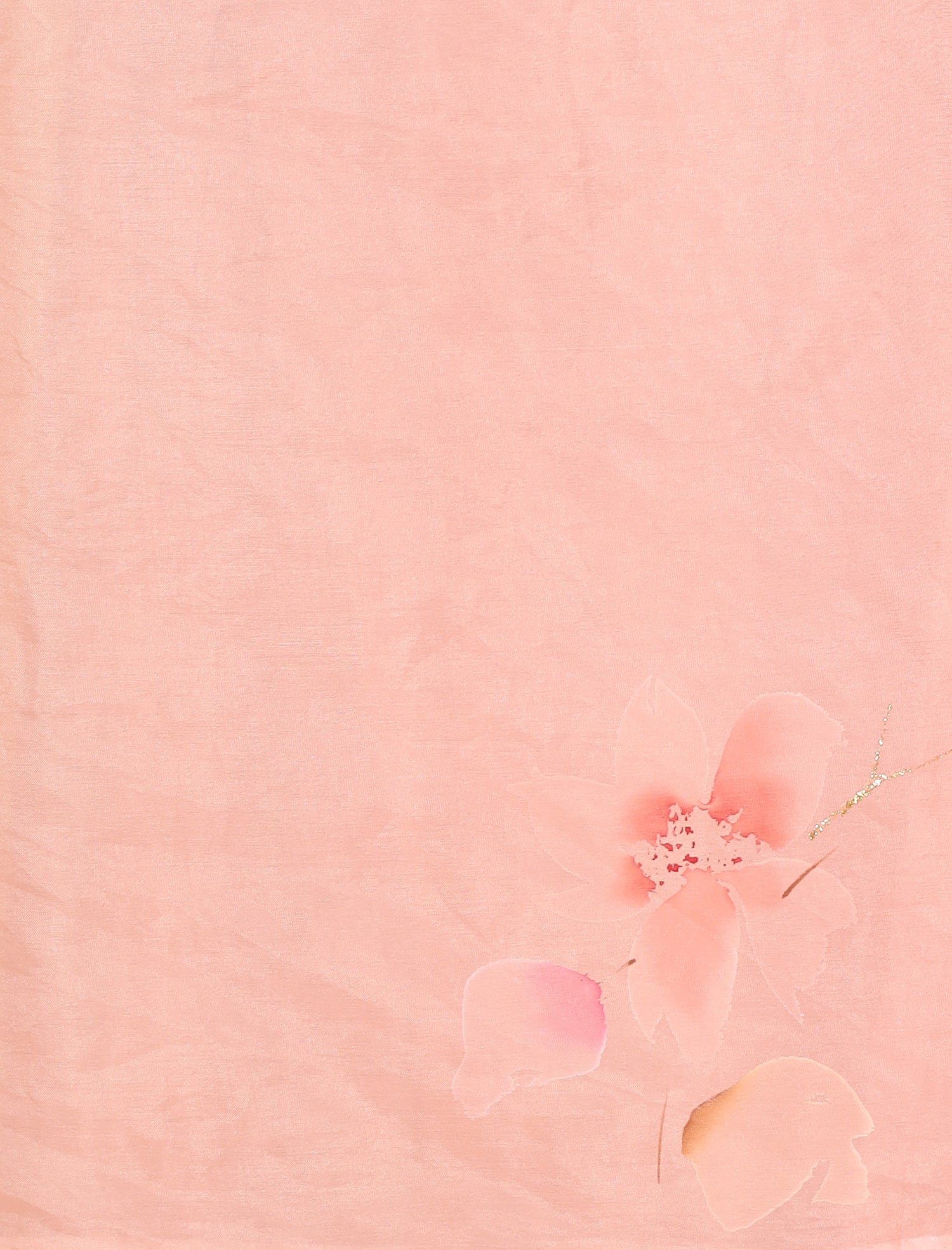 Hand painted Organza Saree