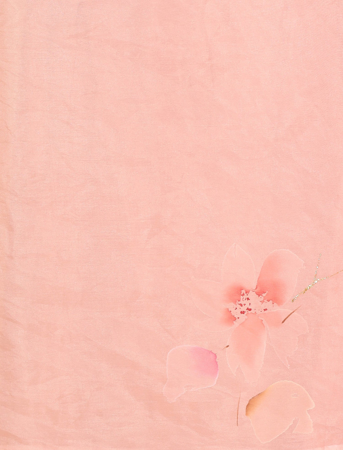 Hand painted Organza Saree