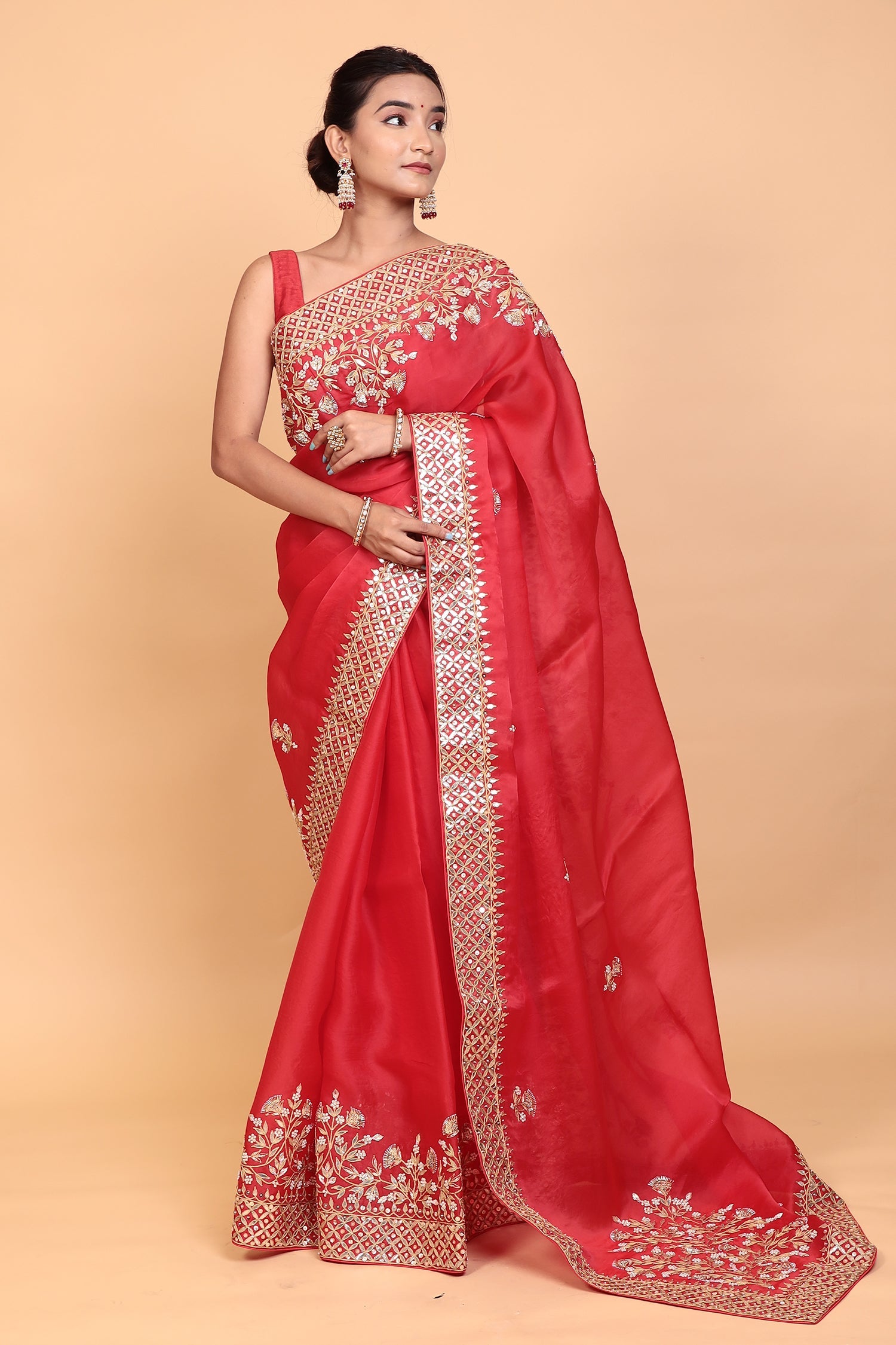 Organza Saree with Gota Patti, Sequins work.