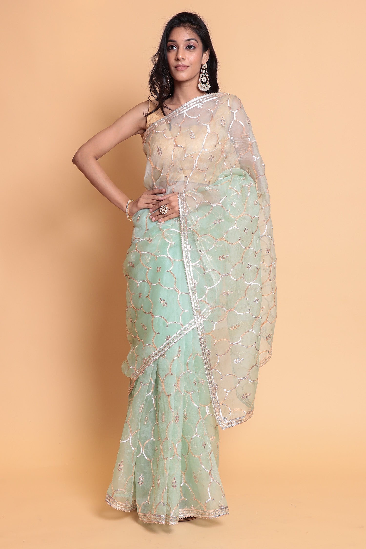 Organza Saree with Gota Patti work.